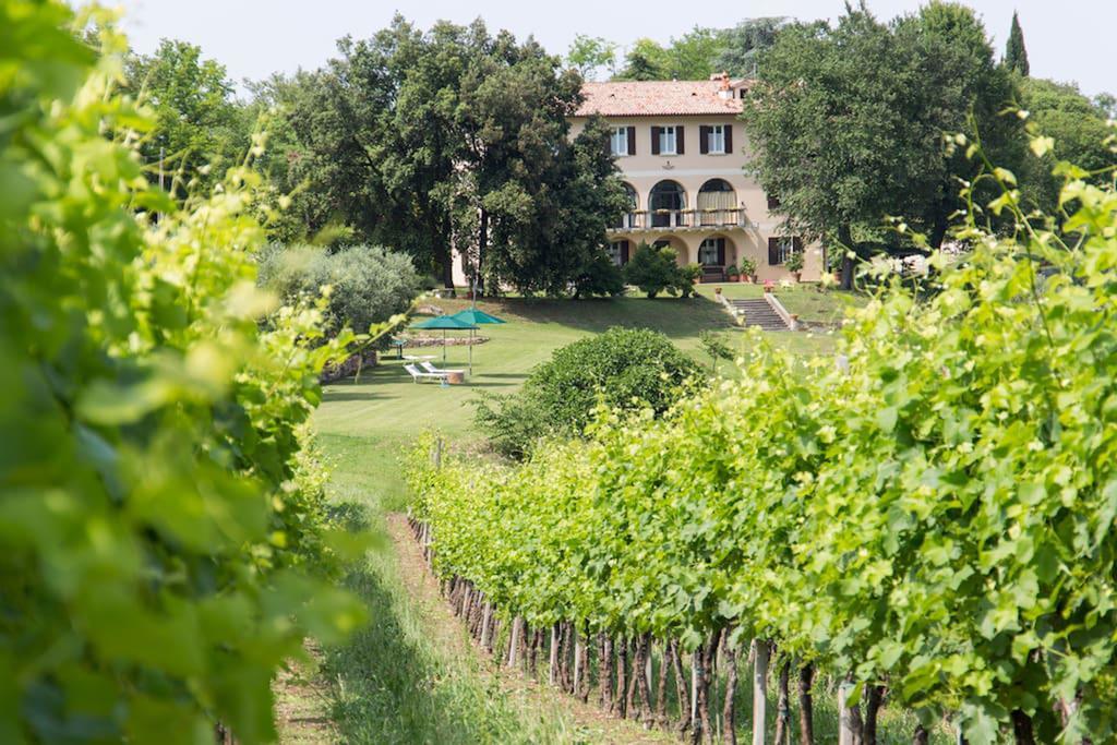Villa Marani Rovolon Luaran gambar